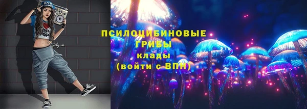 спайс Аркадак