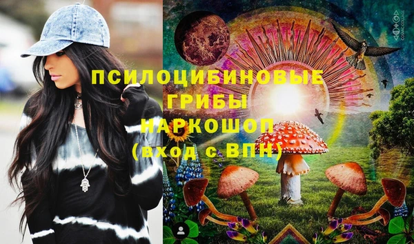 дживик Арсеньев