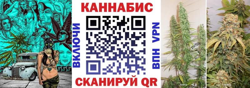 Купить  Владимир  Канабис ГИДРОПОН 